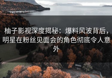 柚子影视深度揭秘：爆料风波背后，明星在粉丝见面会的角色彻底令人意外