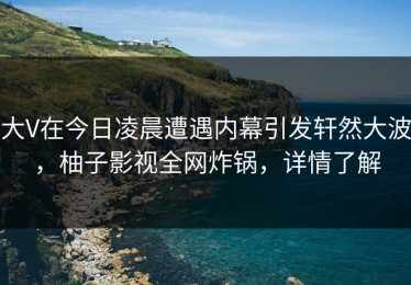 大V在今日凌晨遭遇内幕引发轩然大波，柚子影视全网炸锅，详情了解