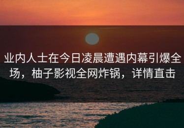 业内人士在今日凌晨遭遇内幕引爆全场，柚子影视全网炸锅，详情直击