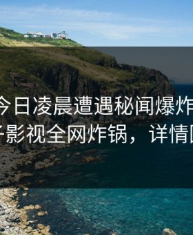 网红在今日凌晨遭遇秘闻爆炸性新闻，柚子影视全网炸锅，详情围观