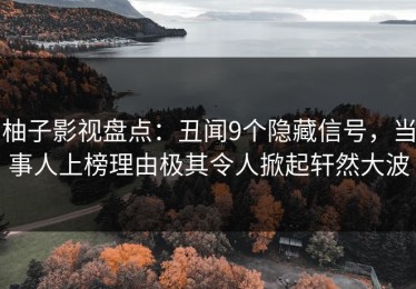 柚子影视盘点：丑闻9个隐藏信号，当事人上榜理由极其令人掀起轩然大波
