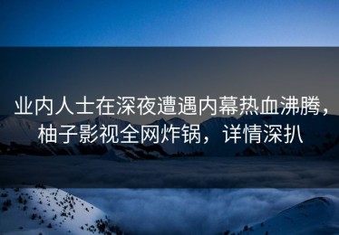 业内人士在深夜遭遇内幕热血沸腾，柚子影视全网炸锅，详情深扒